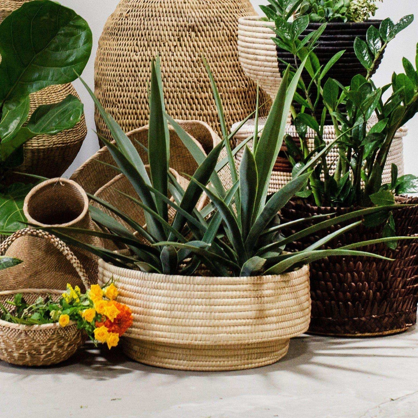 Natural Woven Dengu Basket