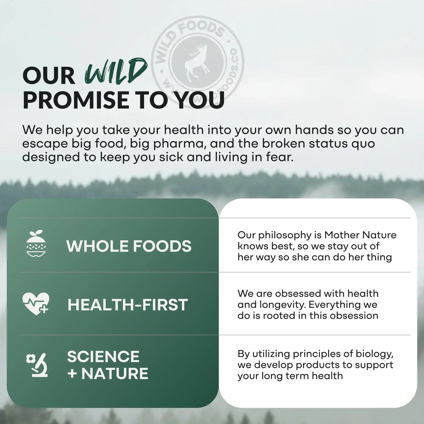 Wild Fish Oil Capsules, Omega-3 Blend, Sustainable, Pure, Third-Party Tested