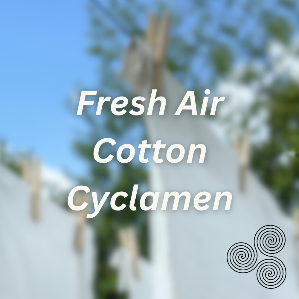 Laundry Day Scent Booster