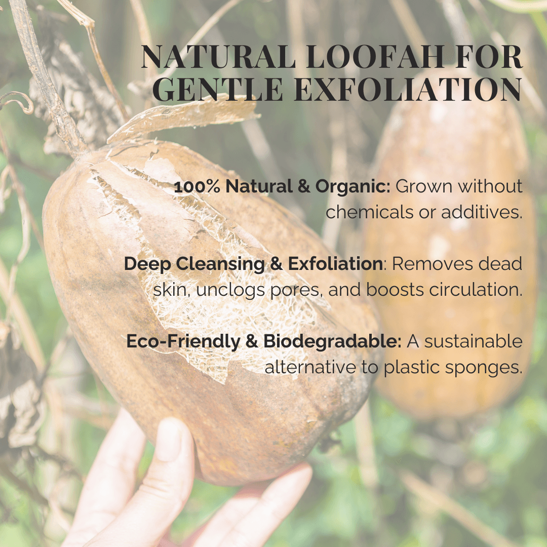 Natural Loofah Sponge
