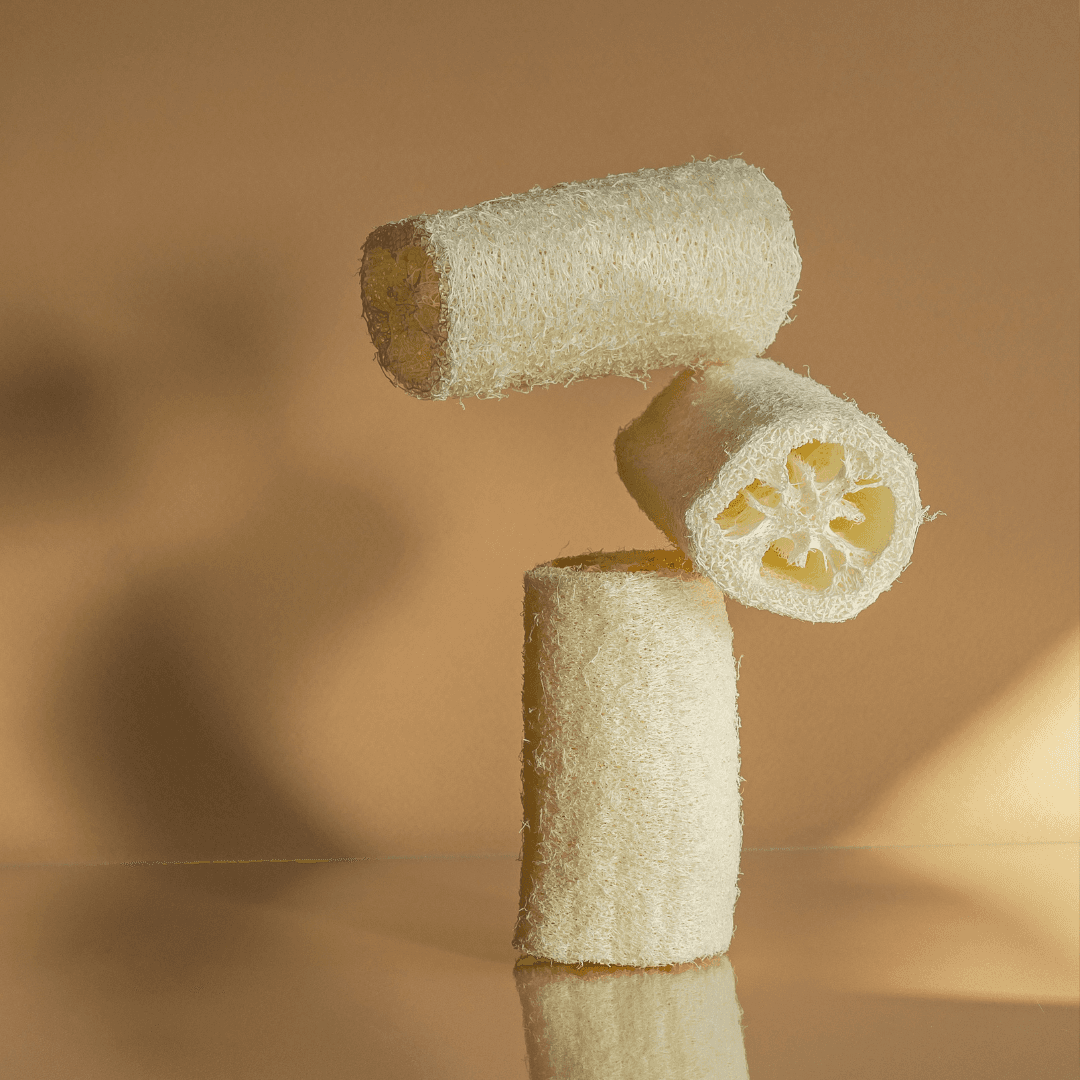Natural Loofah Sponge