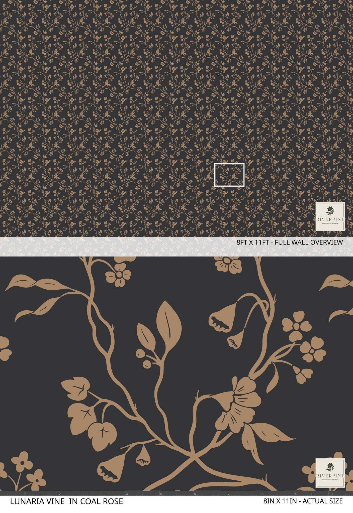 Lunaria Vine Wallpaper in Coal Rose