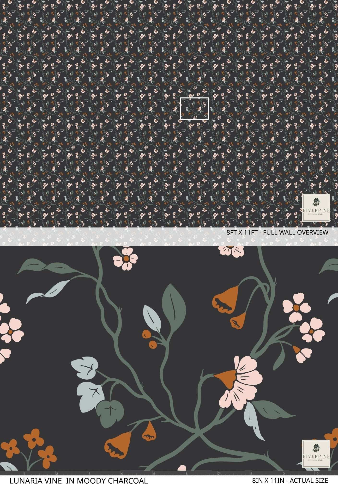 Lunaria Vine Wallpaper in Moody Charcoal