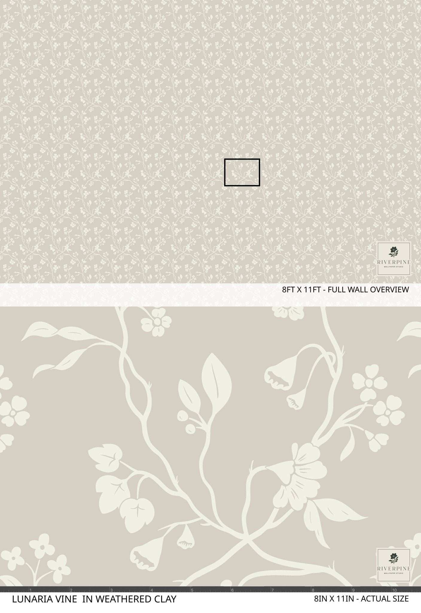 Lunaria Vine Wallpaper in Weathered Clay