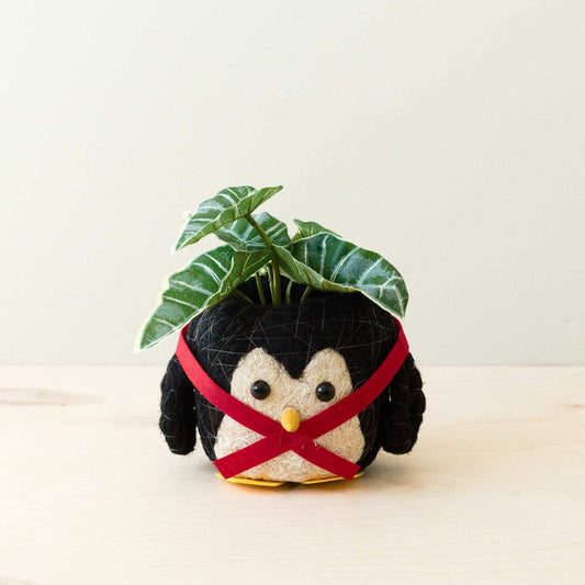 Penguin Planter - Coco Coir Pot | LIKHÂ