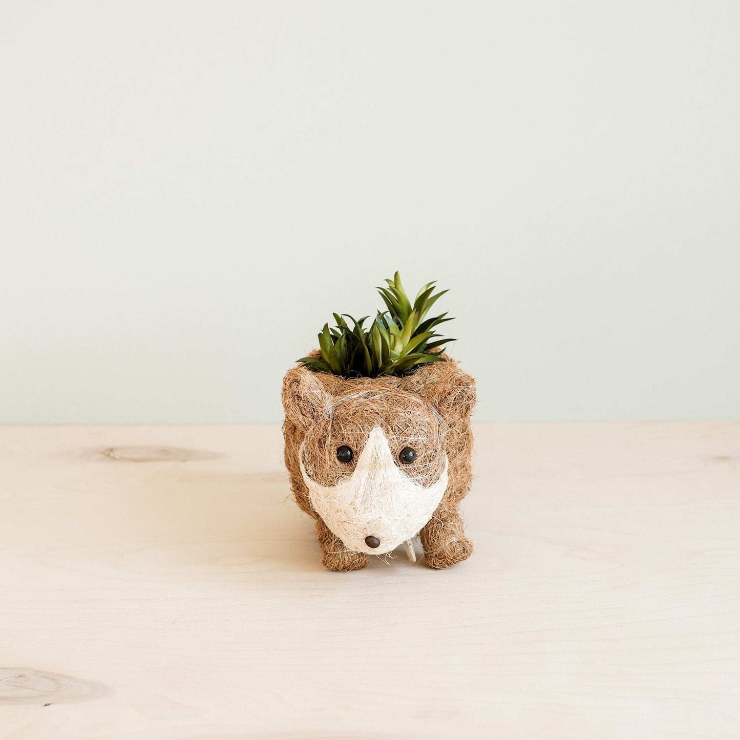 Baby Corgi Succulent Pot - Handmade Planters | LIKHÂ