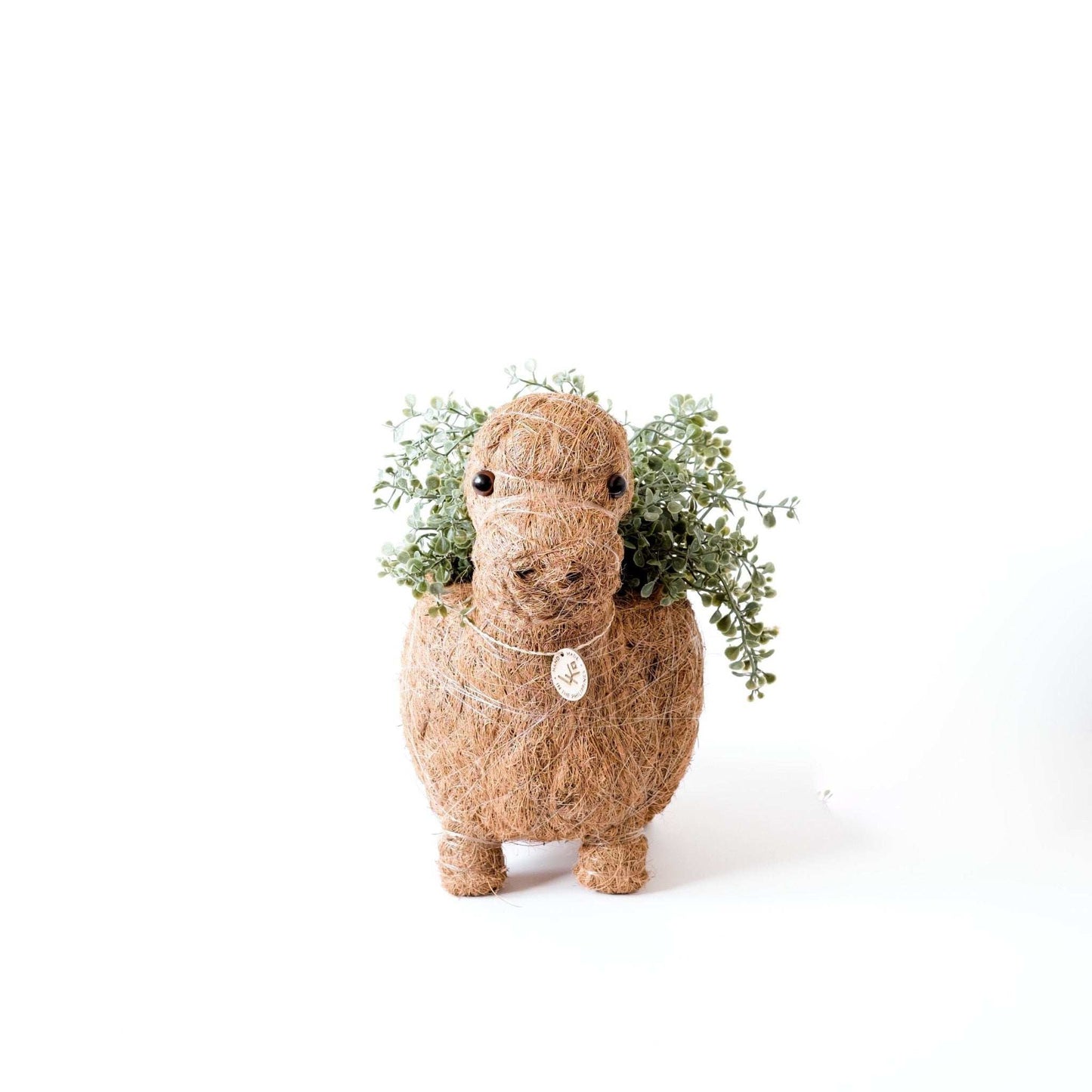 Brontosaurus Planter - Coco Coir Pots | LIKHÂ