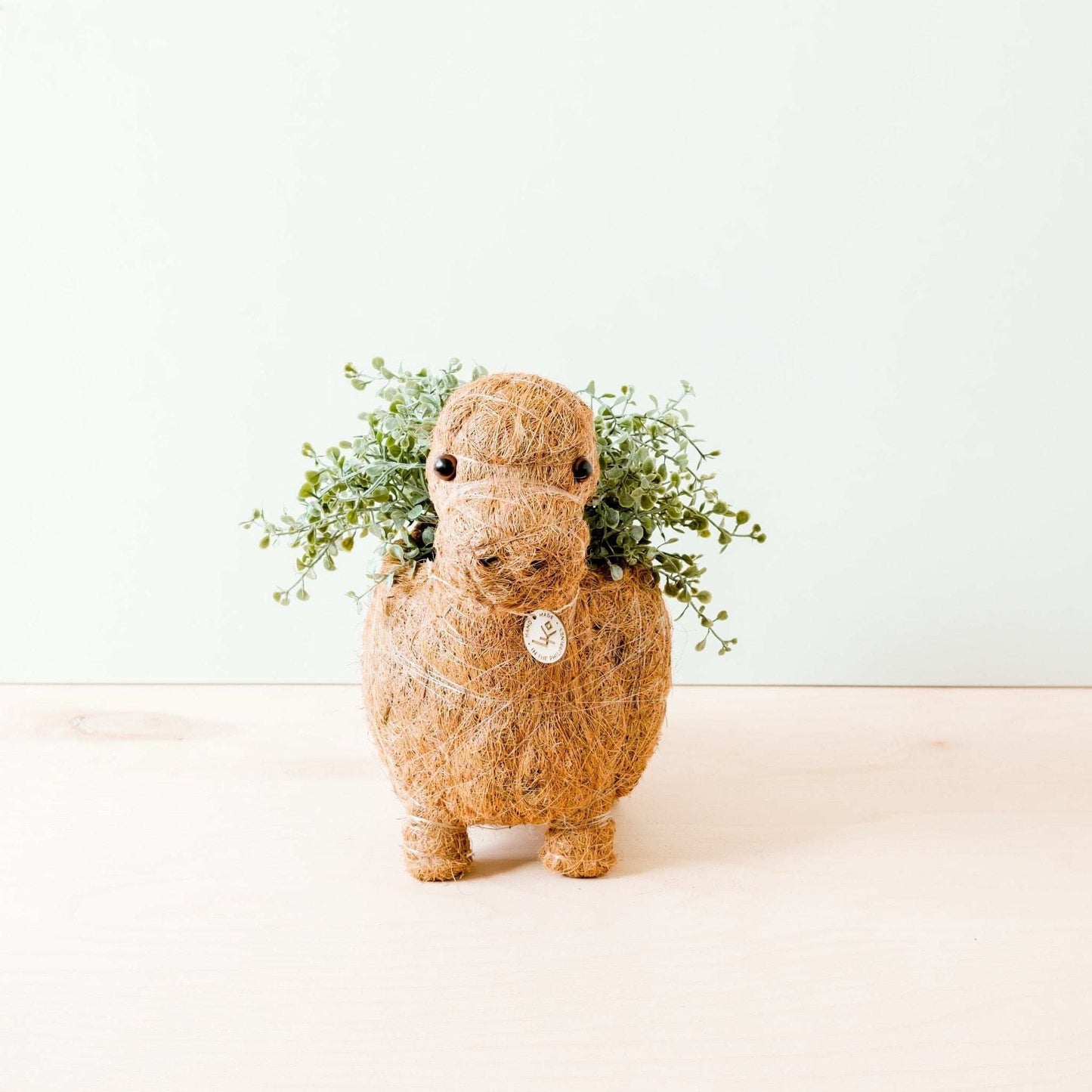 Brontosaurus Planter - Coco Coir Pots | LIKHÂ