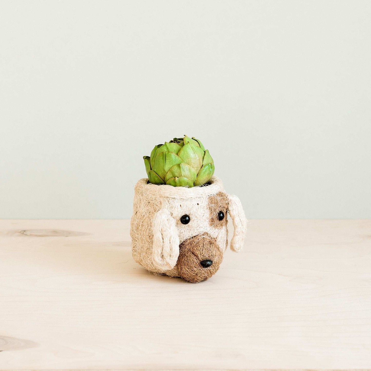 Dog Succulent Planter - Animal Head Plant Pot | LIKHÂ