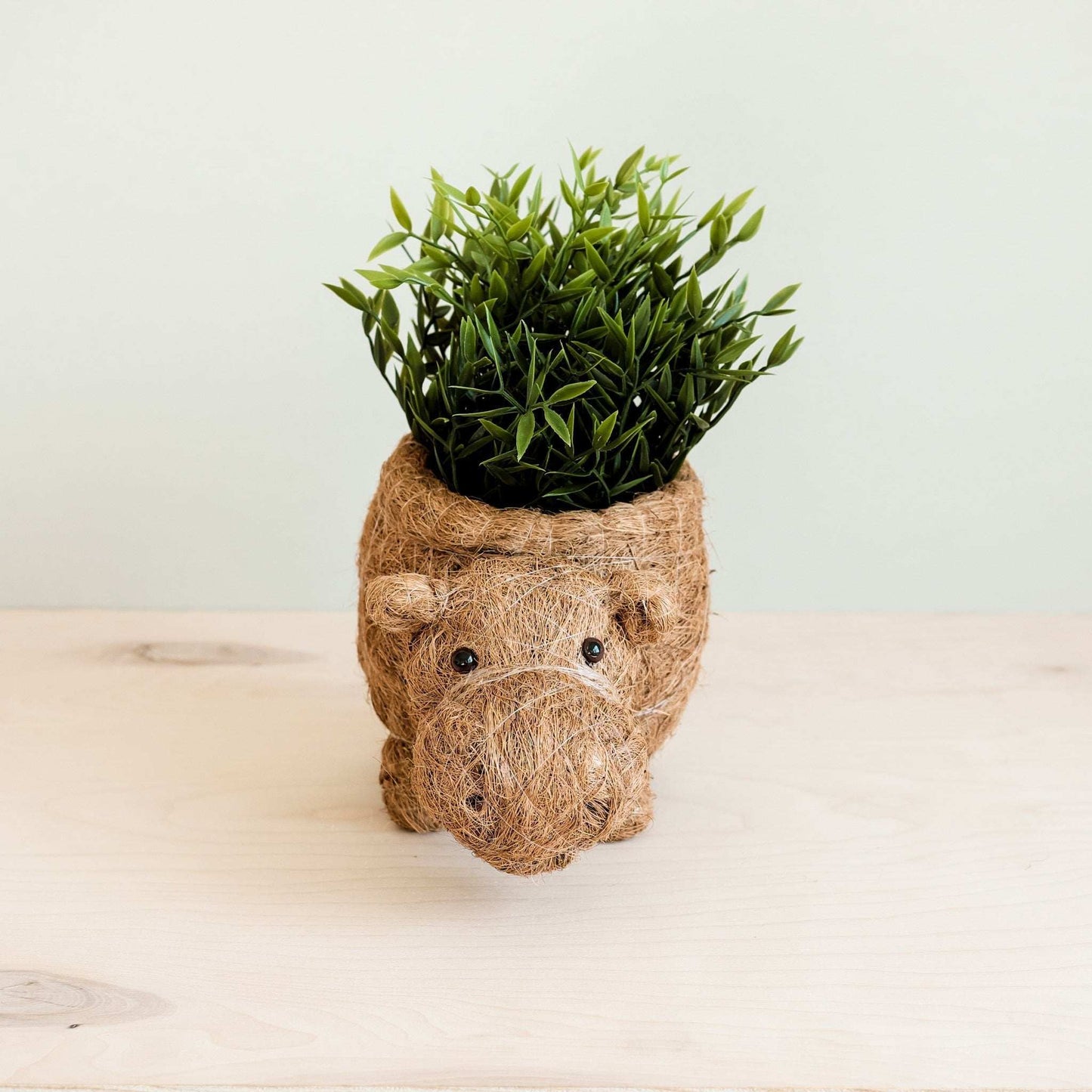 Hippo Planter - Coco Planter | LIKHÂ