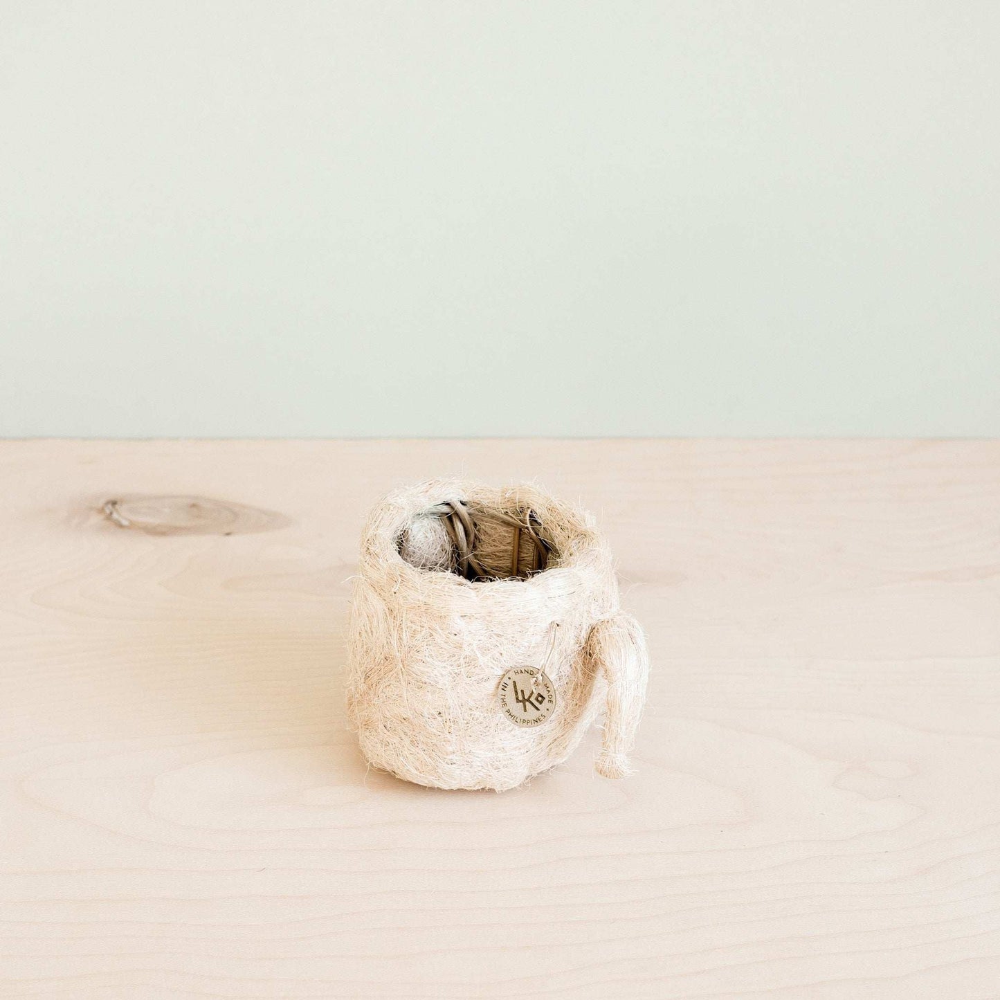 Pig Plant Pot - Animal Head Plant Pot | LIKHÂ