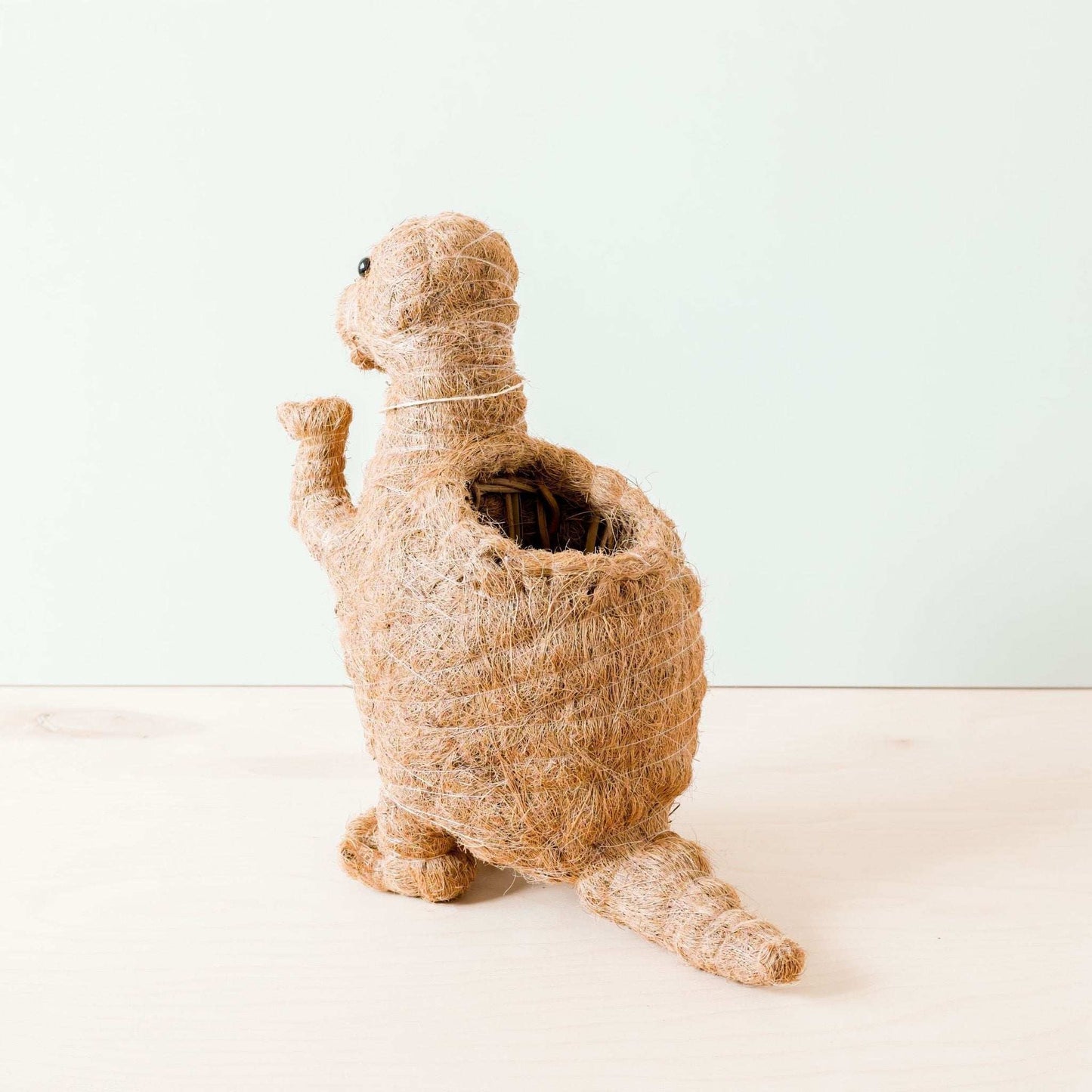 T-Rex Planter - Coco Coir Pots | LIKHÂ