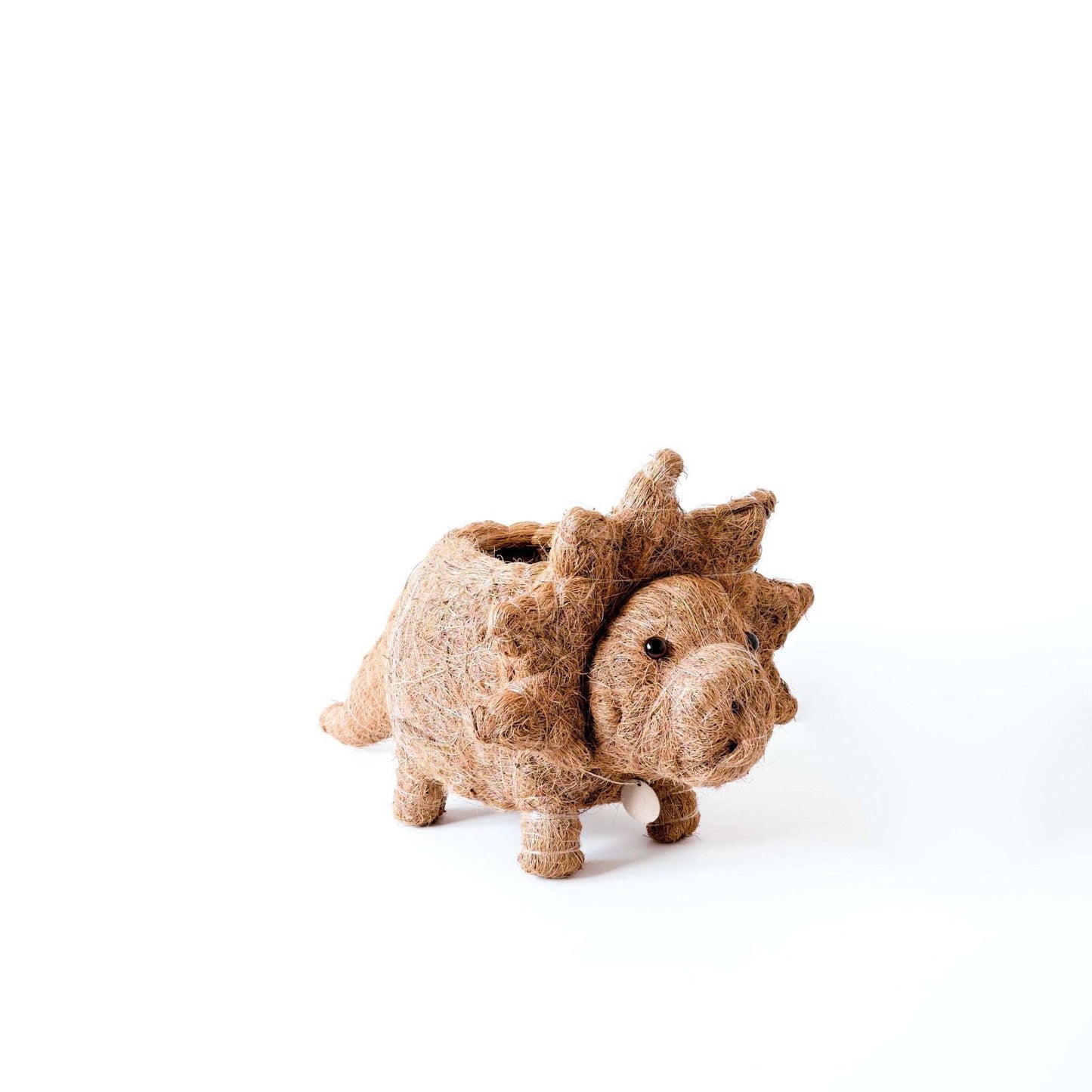 Triceratops Planter - Coco Coir Pots | LIKHÂ
