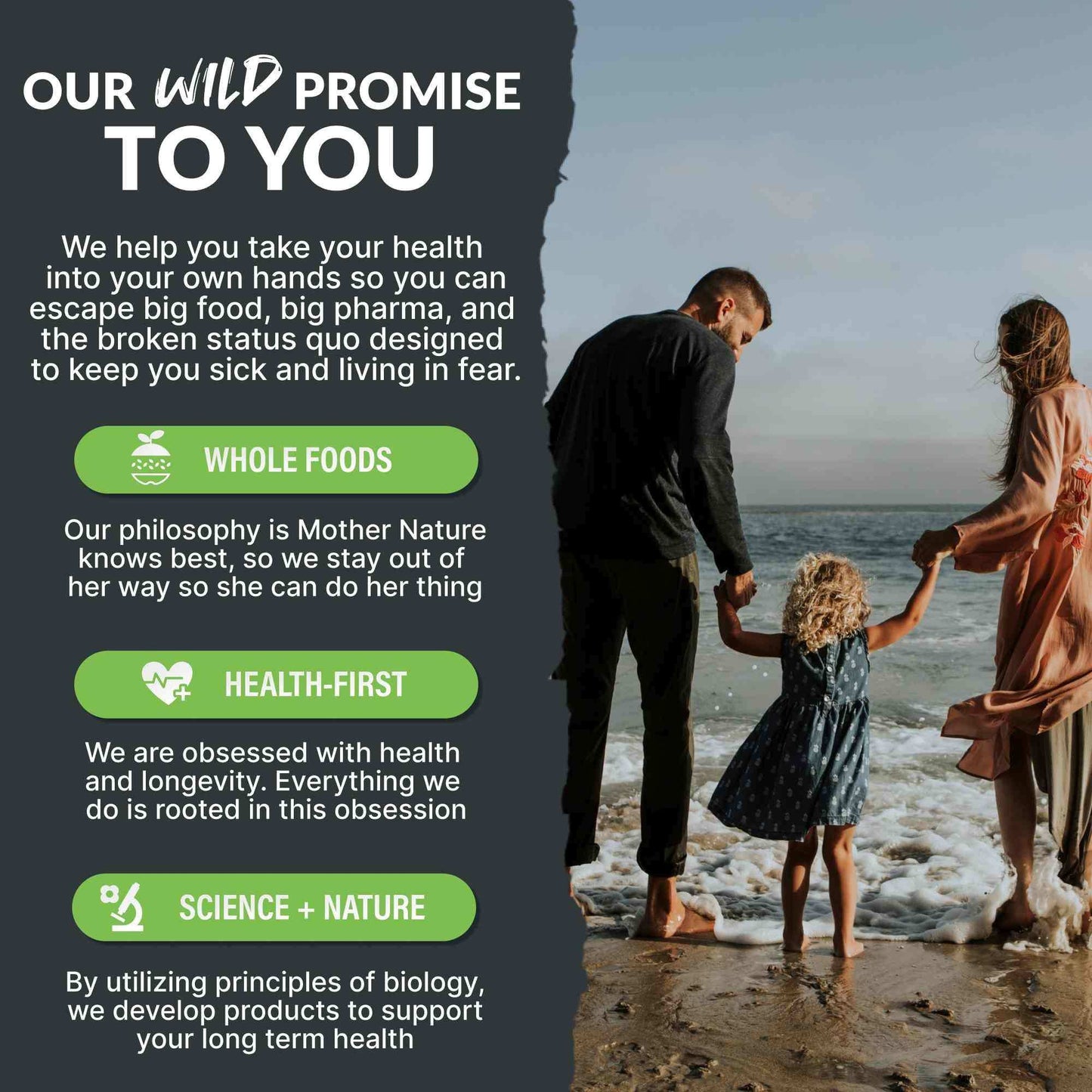 Prebiotics & Probiotics, 30 servings – Gut Health & Digestion Support