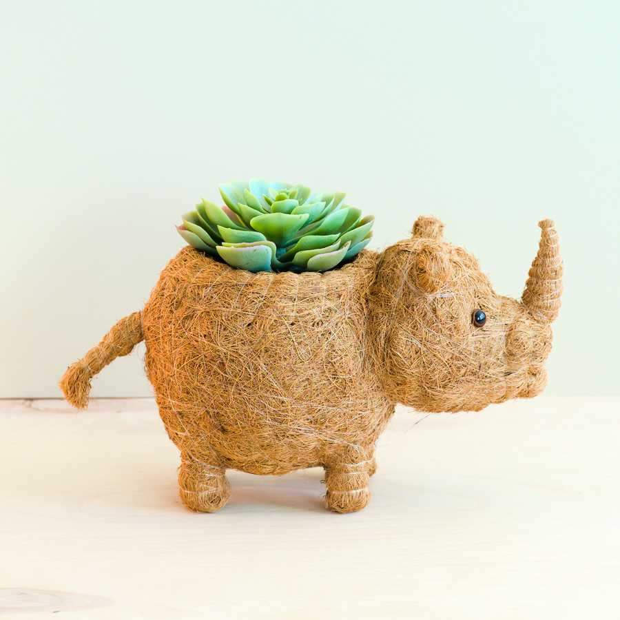Rhino Planter - Coco Coir Pot | LIKHÂ