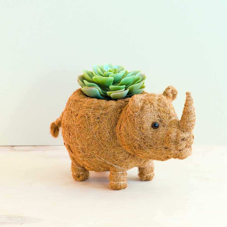 Rhino Planter - Coco Coir Pot | LIKHÂ