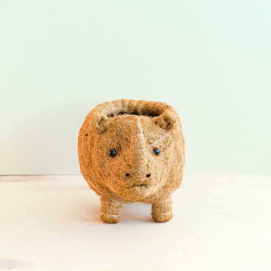 Rhino Planter - Coco Coir Pot | LIKHÂ