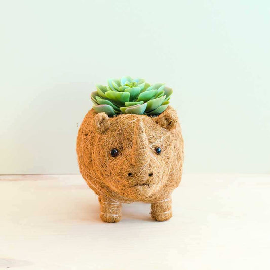 Rhino Planter - Coco Coir Pot | LIKHÂ