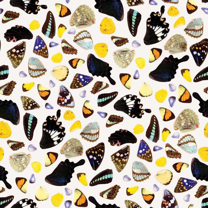 Butterfly Terrazzo Wallpaper, white and multicolor