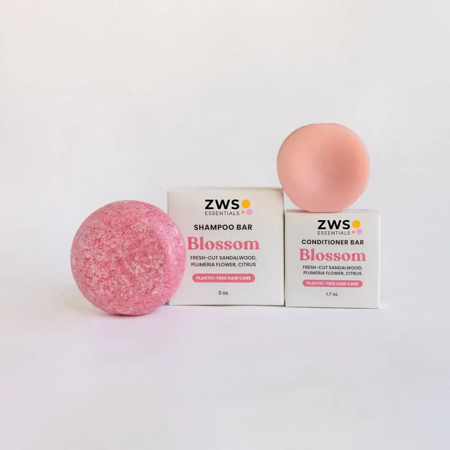 Shampoo & Conditioner Bar Duo