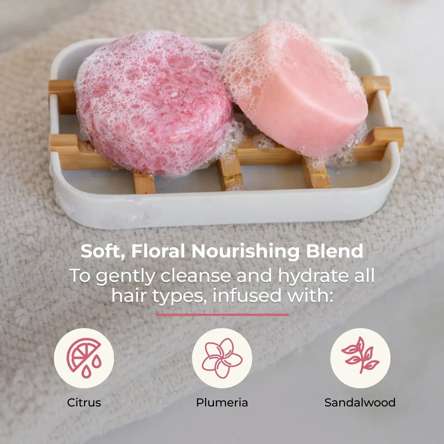 Shampoo & Conditioner Bar Duo