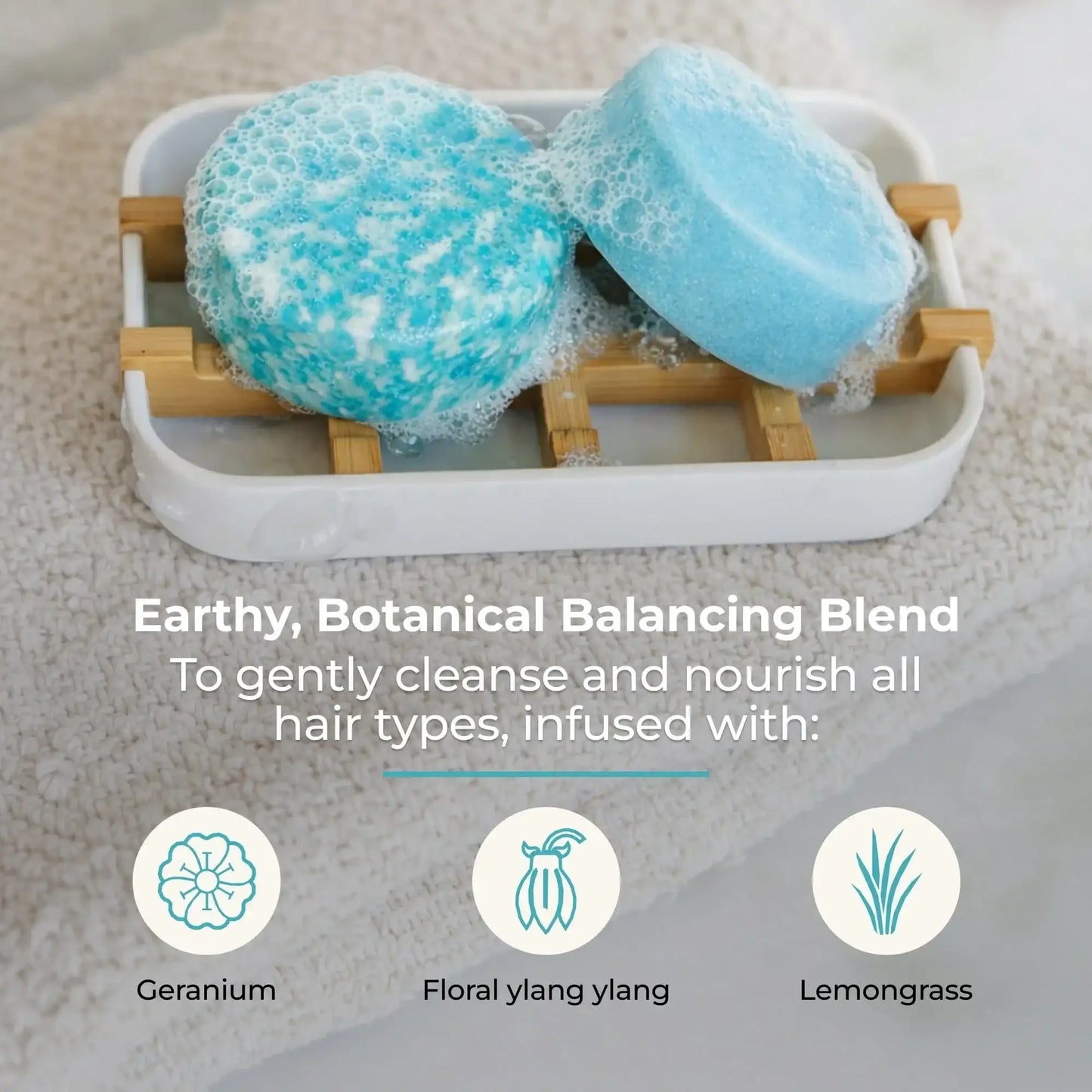 Shampoo & Conditioner Bar Duo