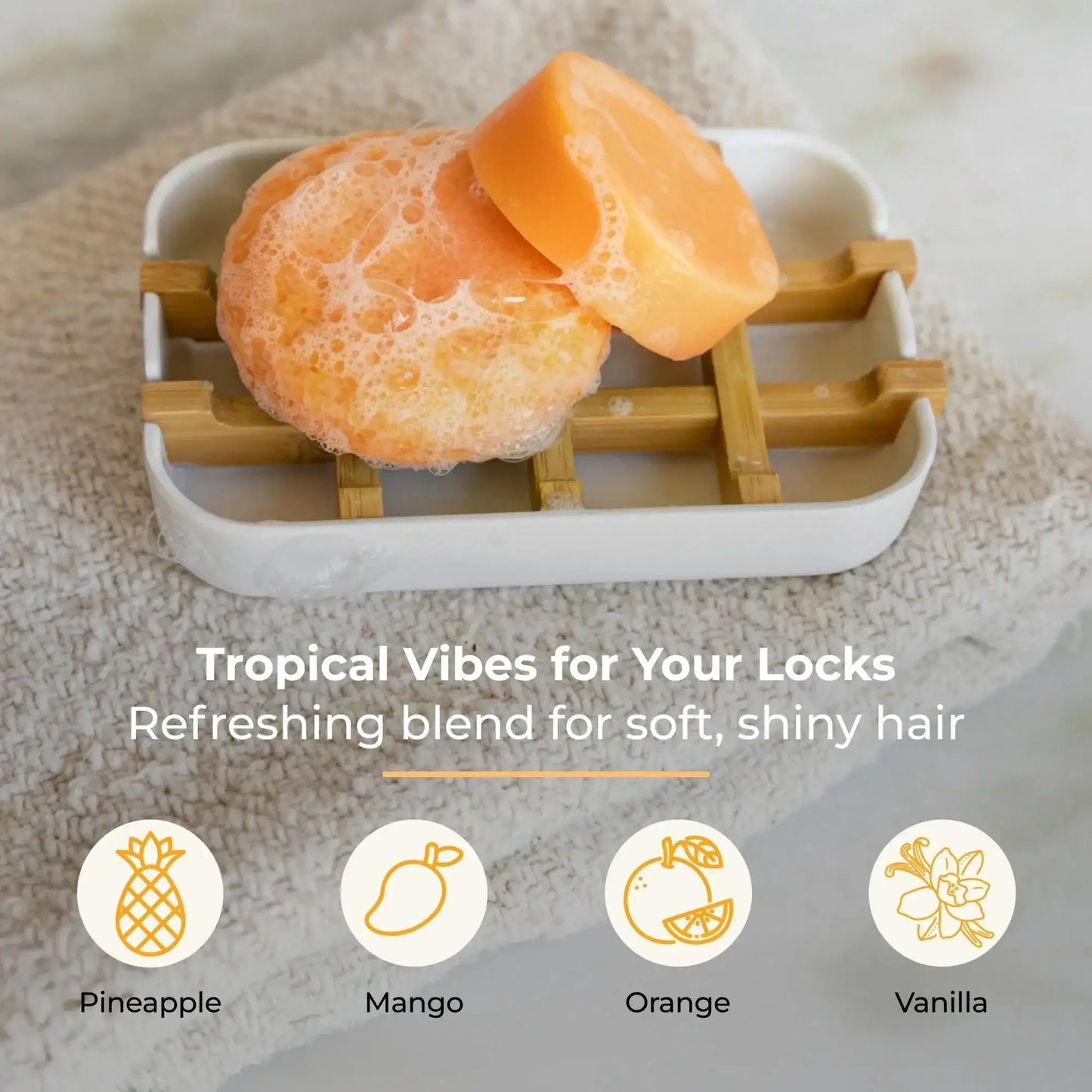 Shampoo & Conditioner Bar Duo