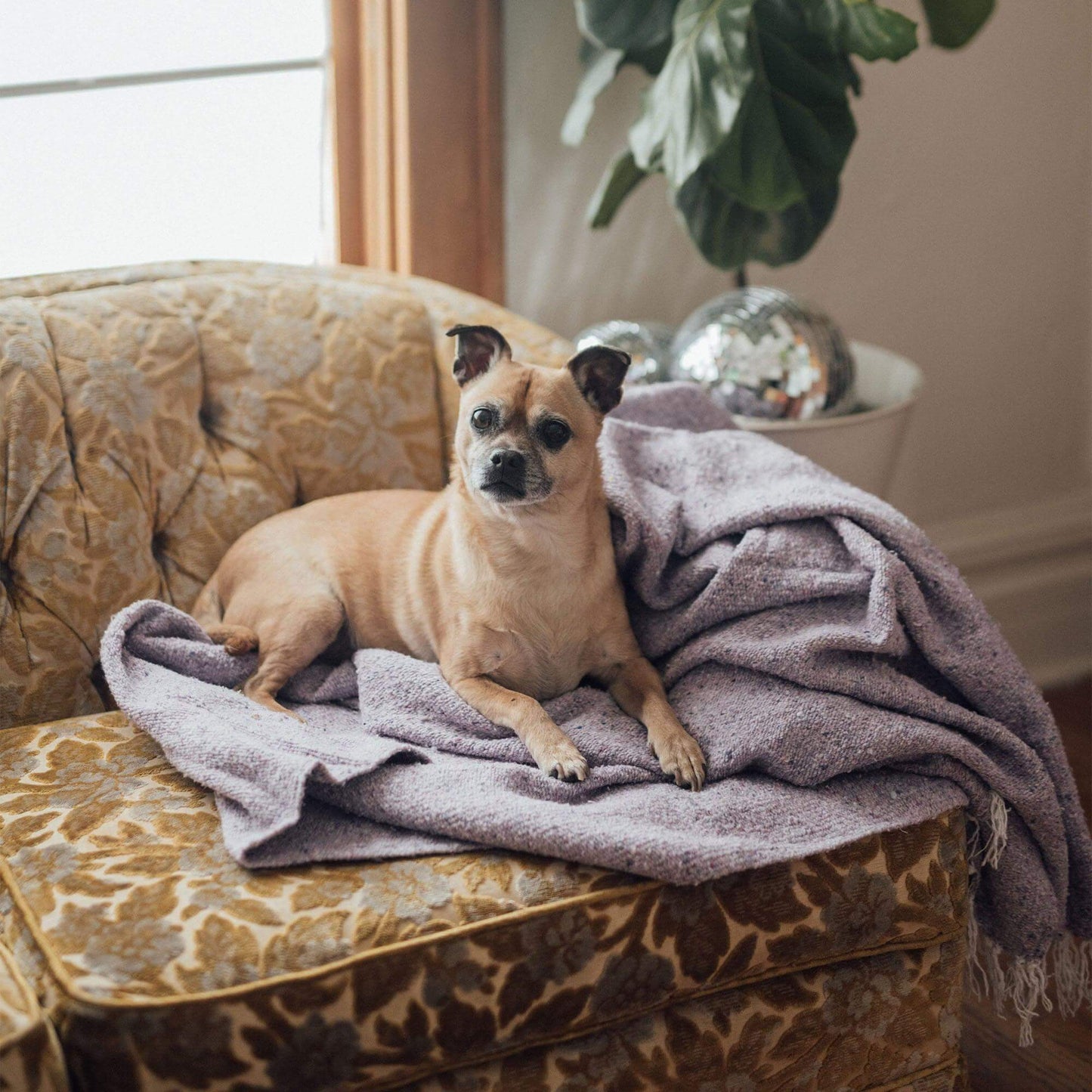 Sonoma Blanket