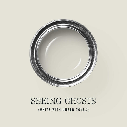 Seeing Ghosts