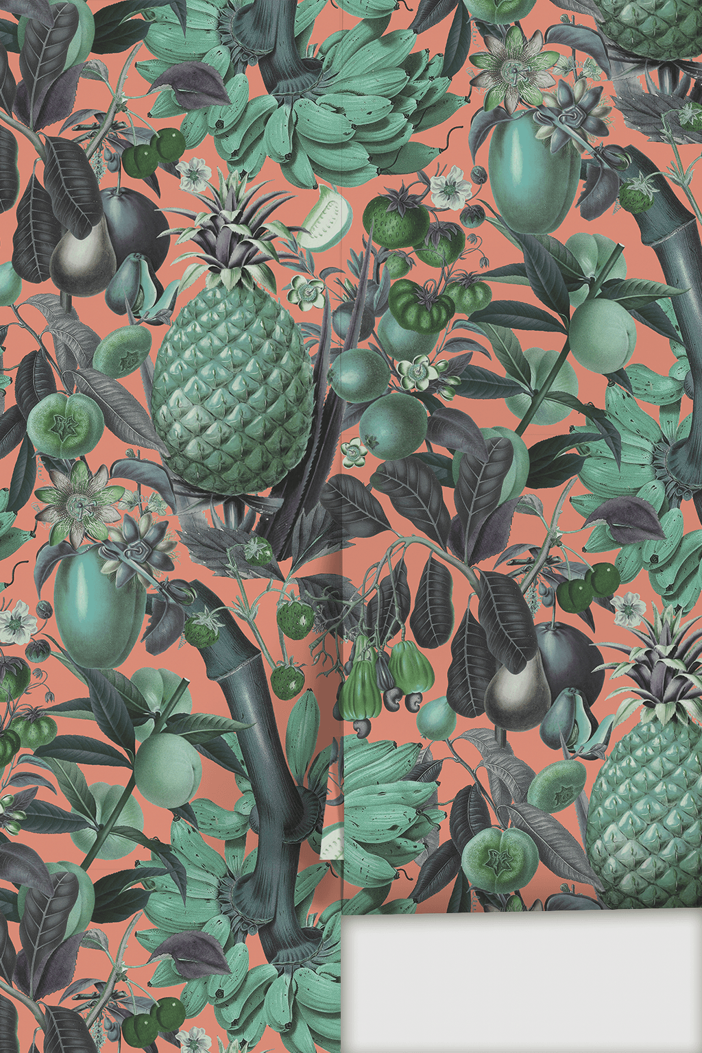 Juicy Fruit Wallpaper, coral and teal
