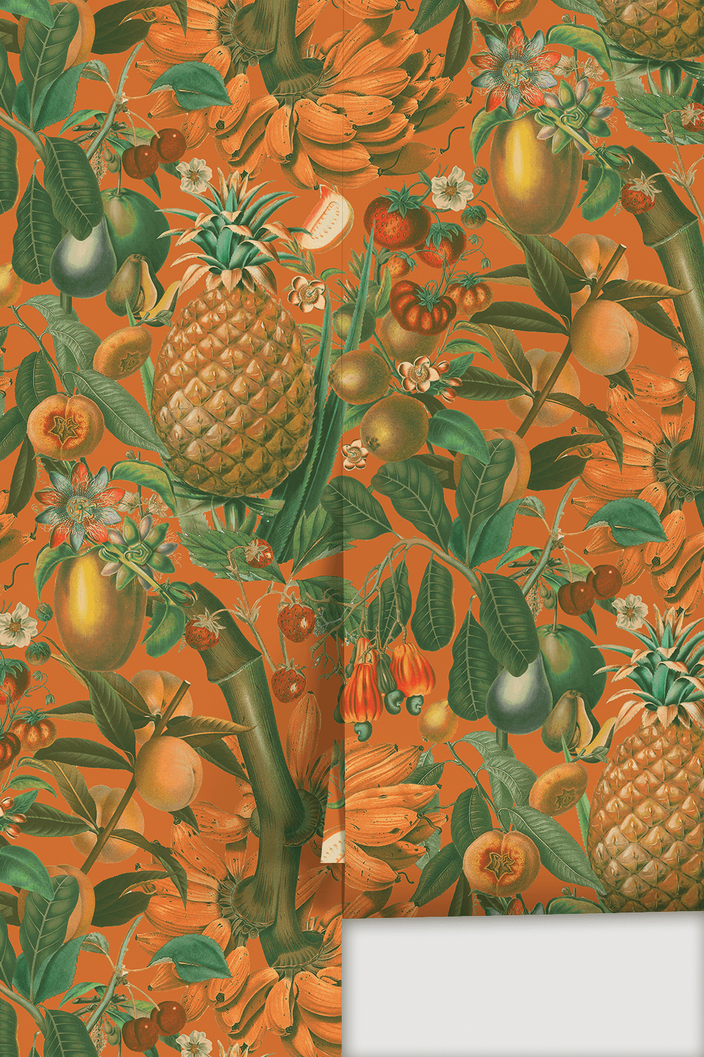 Juicy Fruit Wallpaper, orange and green