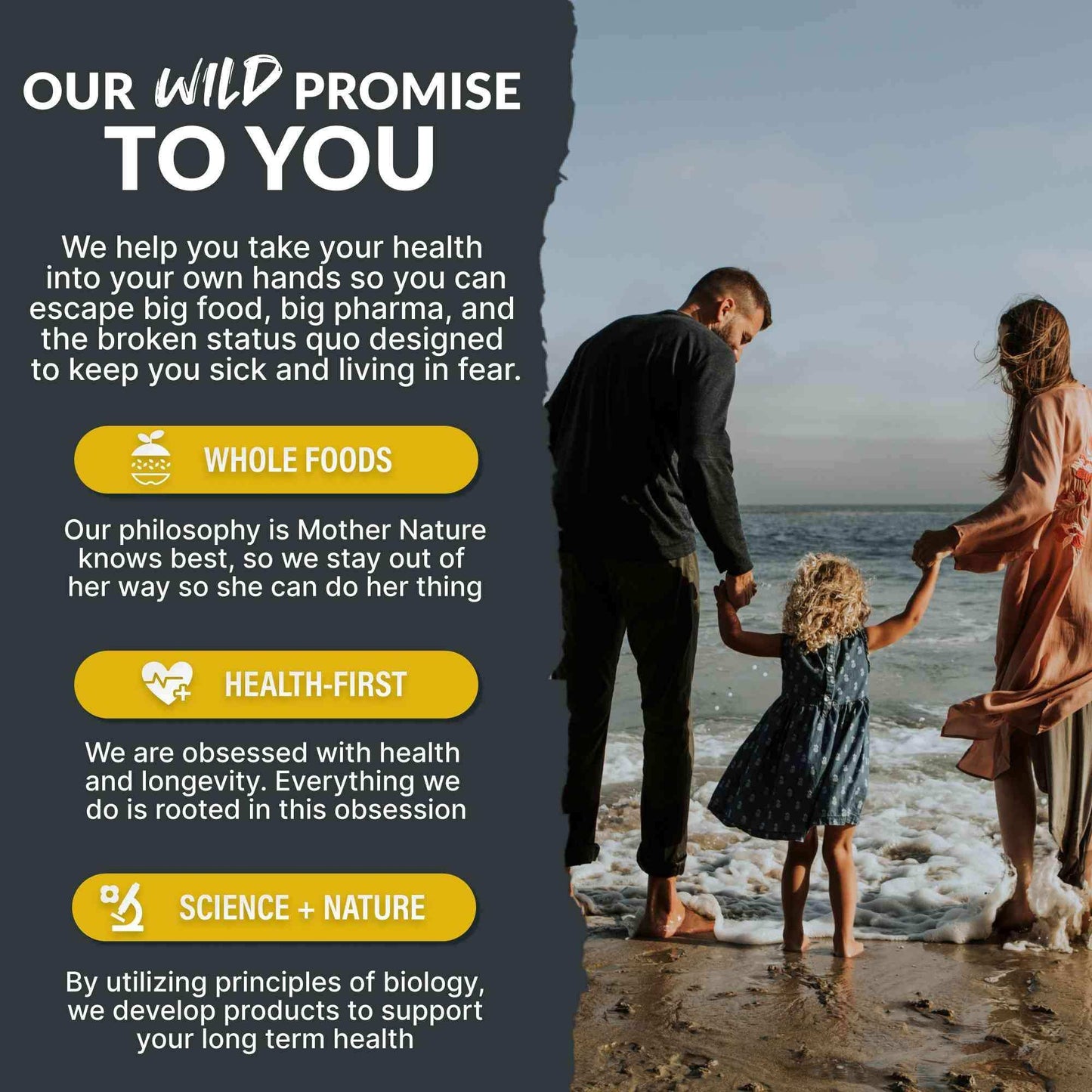 Wild Man Herbal Stack – Male Hormone Balance & Performance