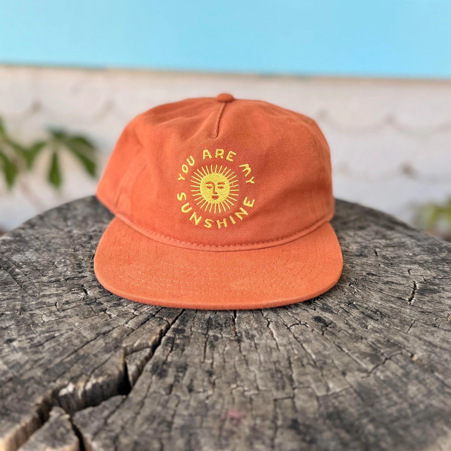 You Are My Sunshine Kids Hat