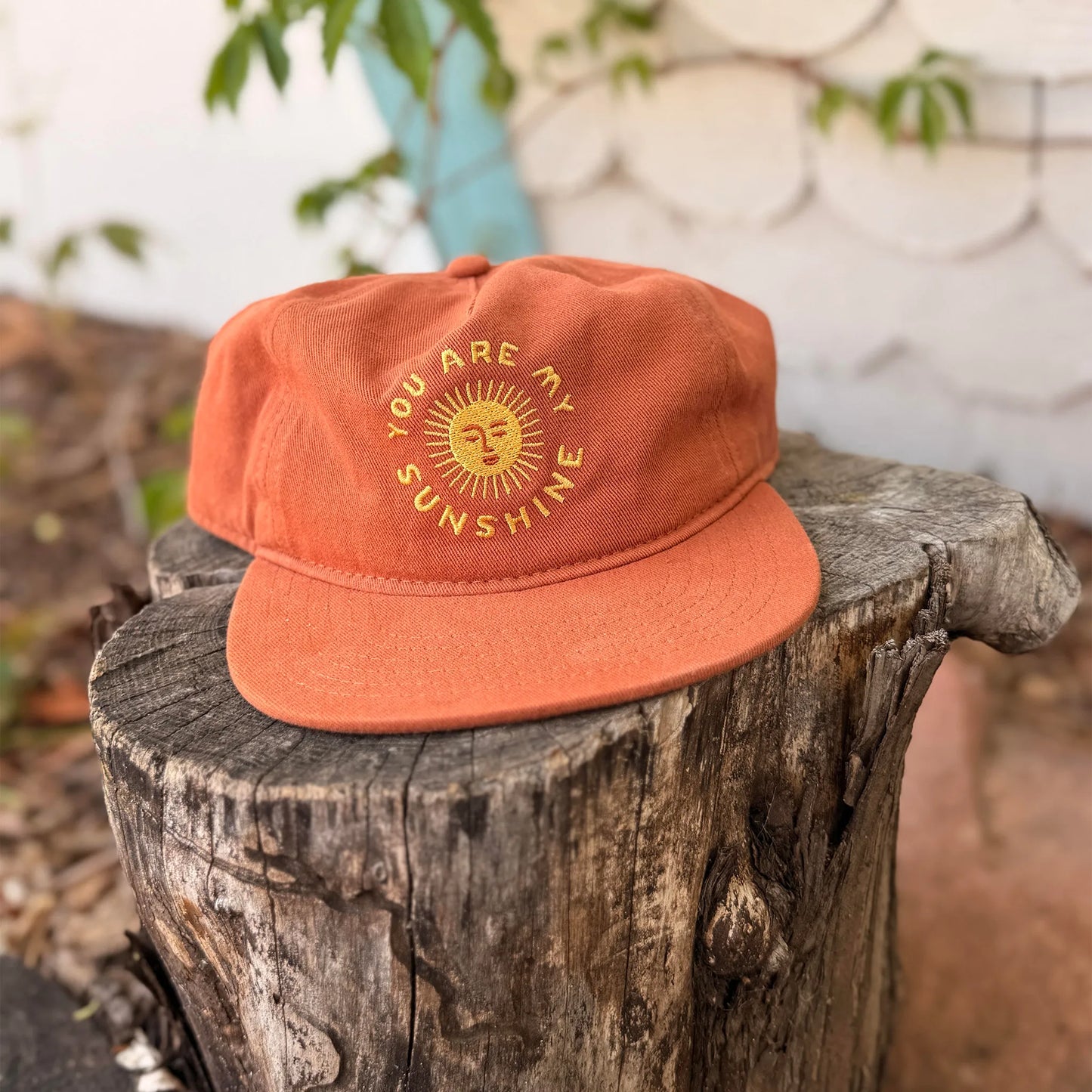 You Are My Sunshine Hat