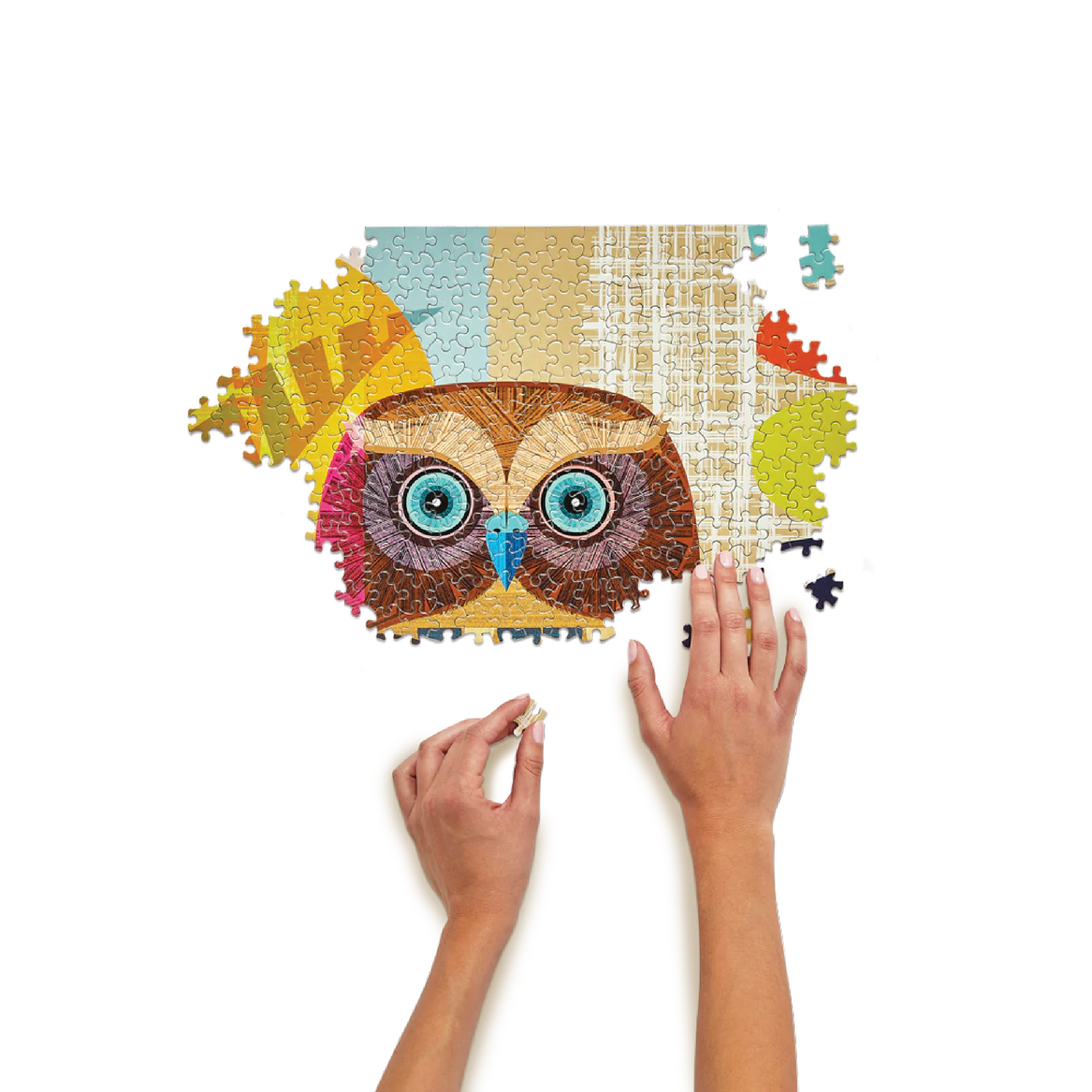 Ruru Owl | 1000 Piece Puzzle